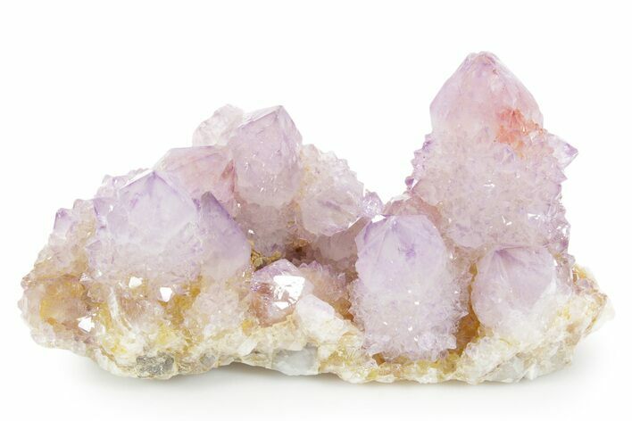 Sparkling Cactus Amethyst Crystal Cluster - South Africa #354675